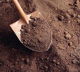 Toprak Analizlerini Neden Yaptırmalıyız?