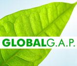 GLOBAL G.A.P. ve İyi Tarim Uygulamaları